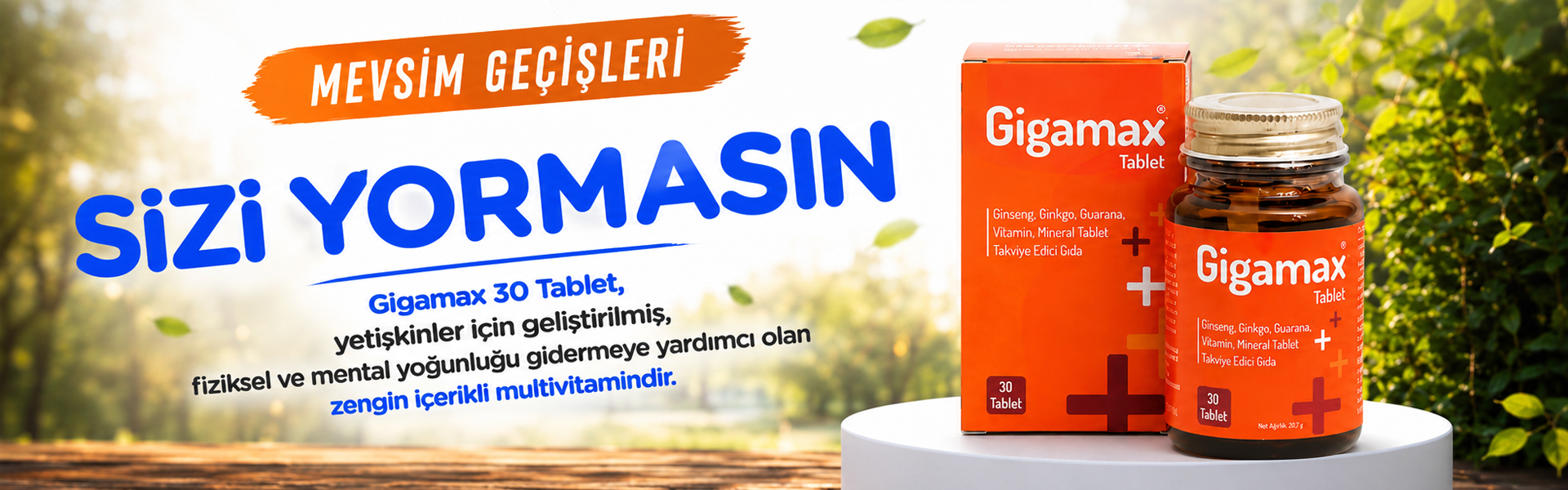 gigamax banner